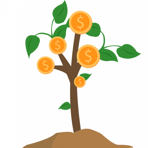 Money-Tree Money Tree